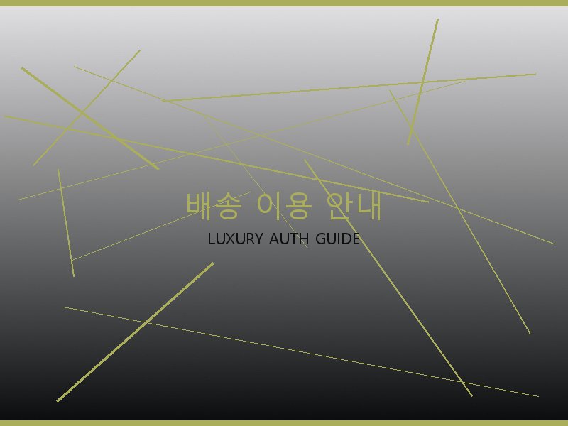 미러급 레플리카 사이트 배송 이용 안내