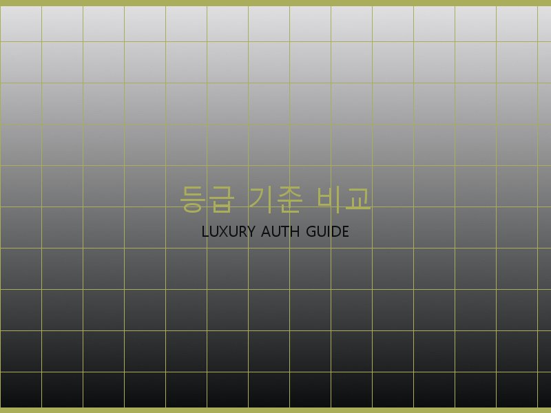 미러급 레플리카 사이트 등급 기준 비교